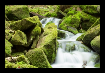 Wasserfall im Moss